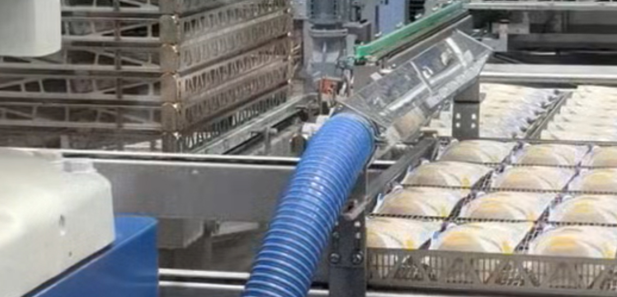 Axion One AK Series Food & Beverage Industry (Bakery Packaging Drying)