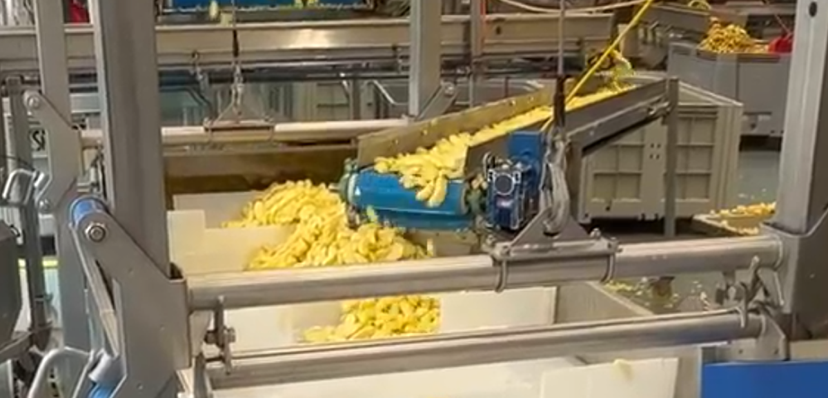 Axion One AK Series Food Processing (Dried Fruit Production)